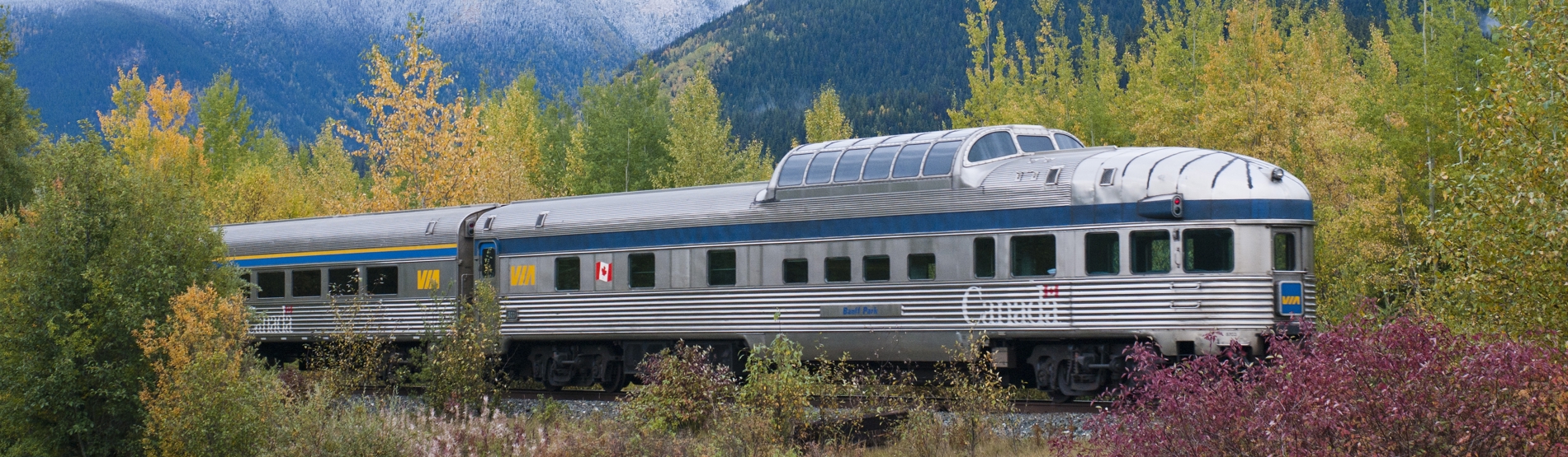 PROCURAM AS
SOLUÇÕES MAIS
EFICIENTES PROCURAM AS
SOLUÇÕES MAIS
EFICIENTES