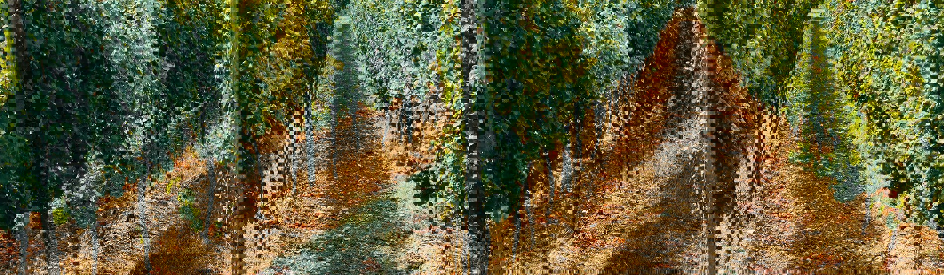 Smart
Agriculture Smart
Agriculture