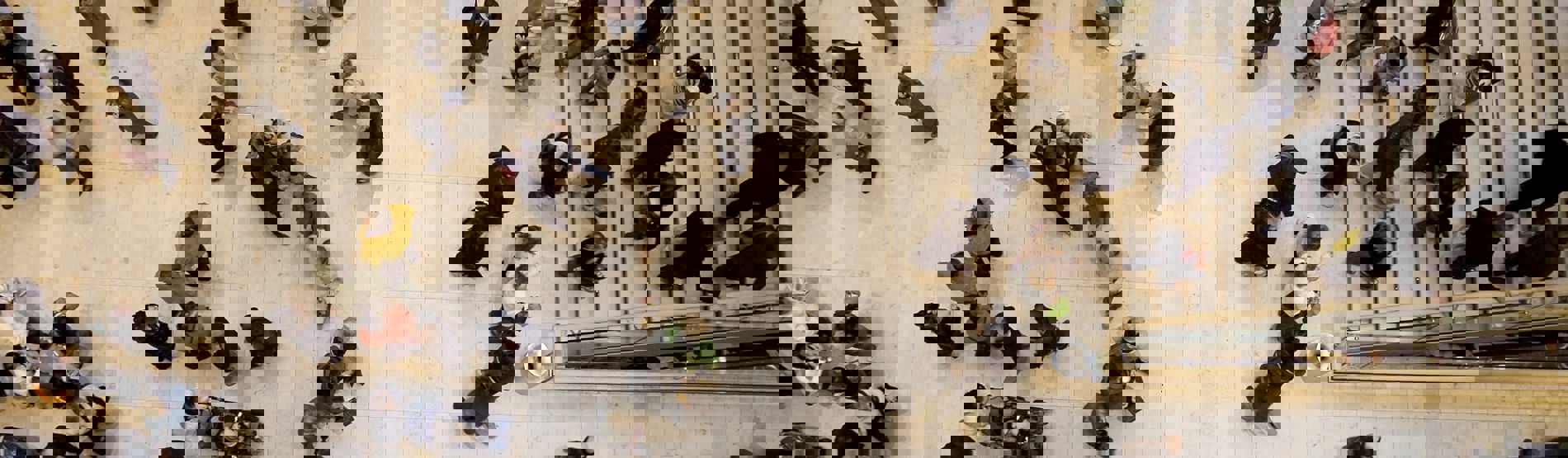 Stay updated
with our
News & Events Stay updated
with our
News & Events